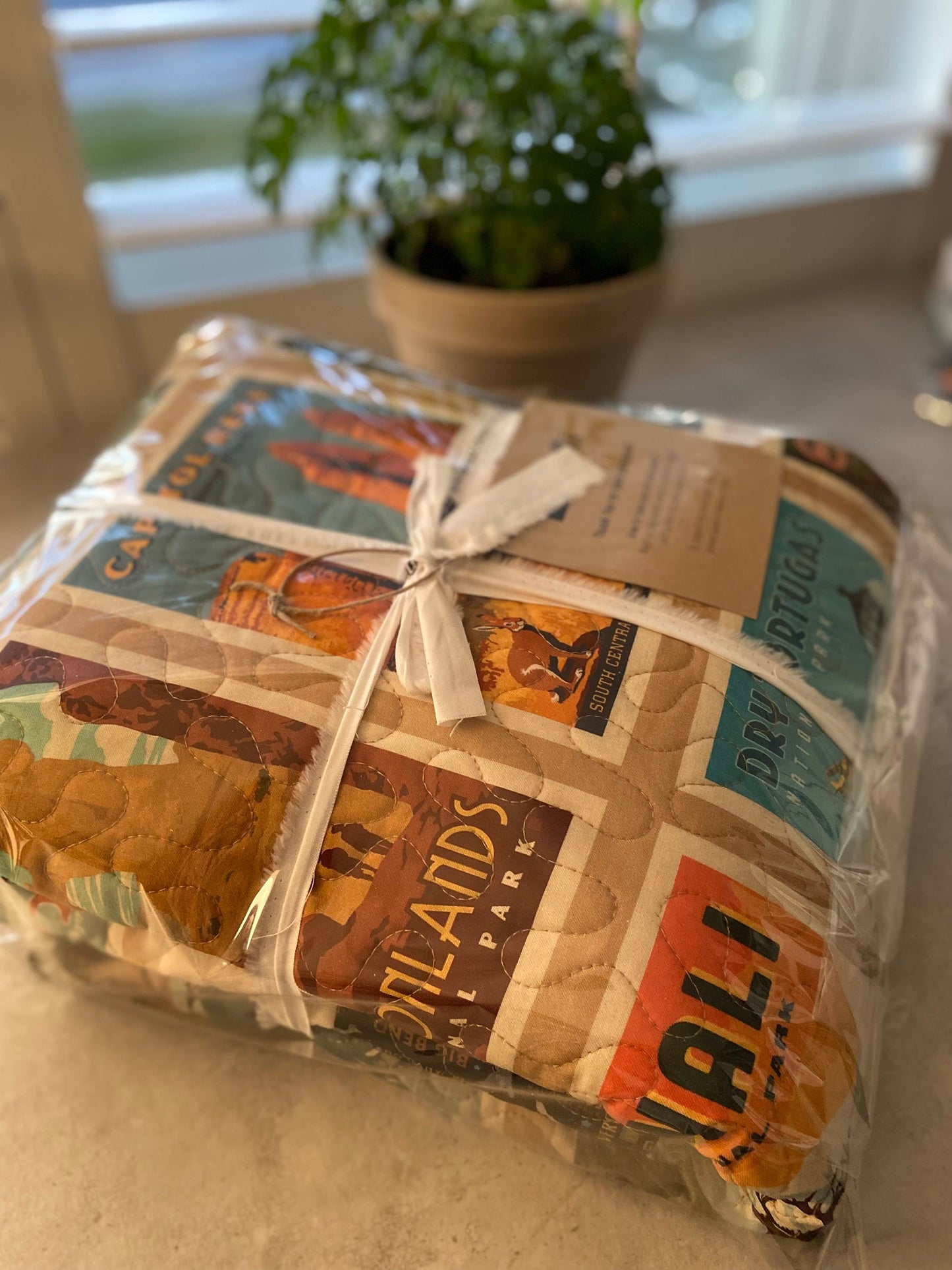 National Parks Quilt - Handmade!